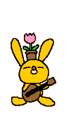 bunny playing banjo